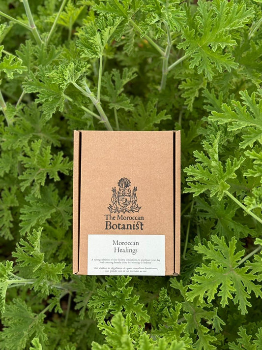 The Moroccan Healings - 36 Teabags S