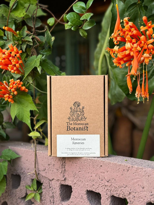 The Moroccan Reveries - 36 Teabags S